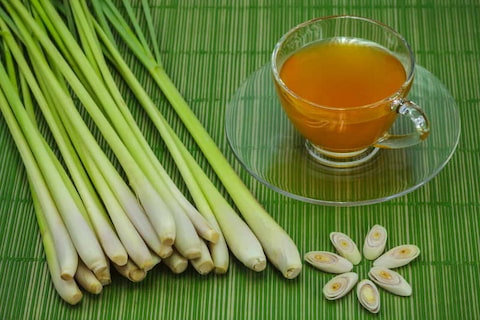 تصویر 2 از خرید و فروش عرق بوقناق اصل با شرایط فوق العاده